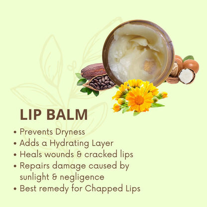 Lip balm for preventing dryness